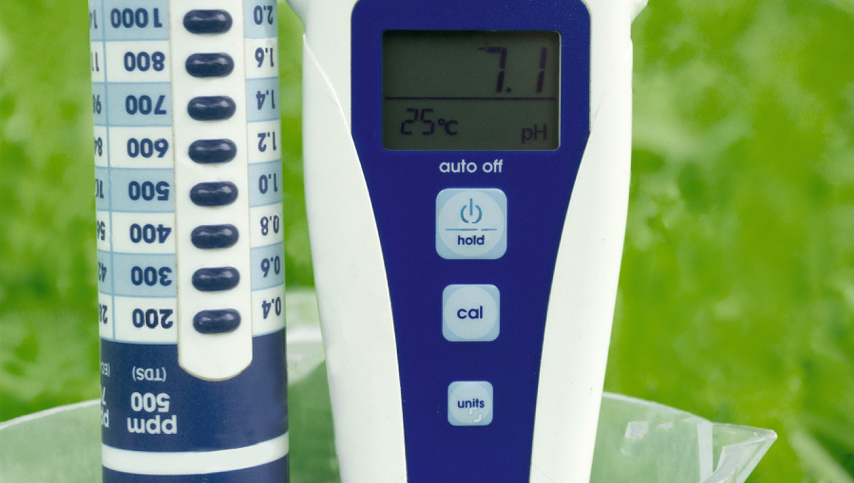 Autoflowering cannabis in hydro: check the ph