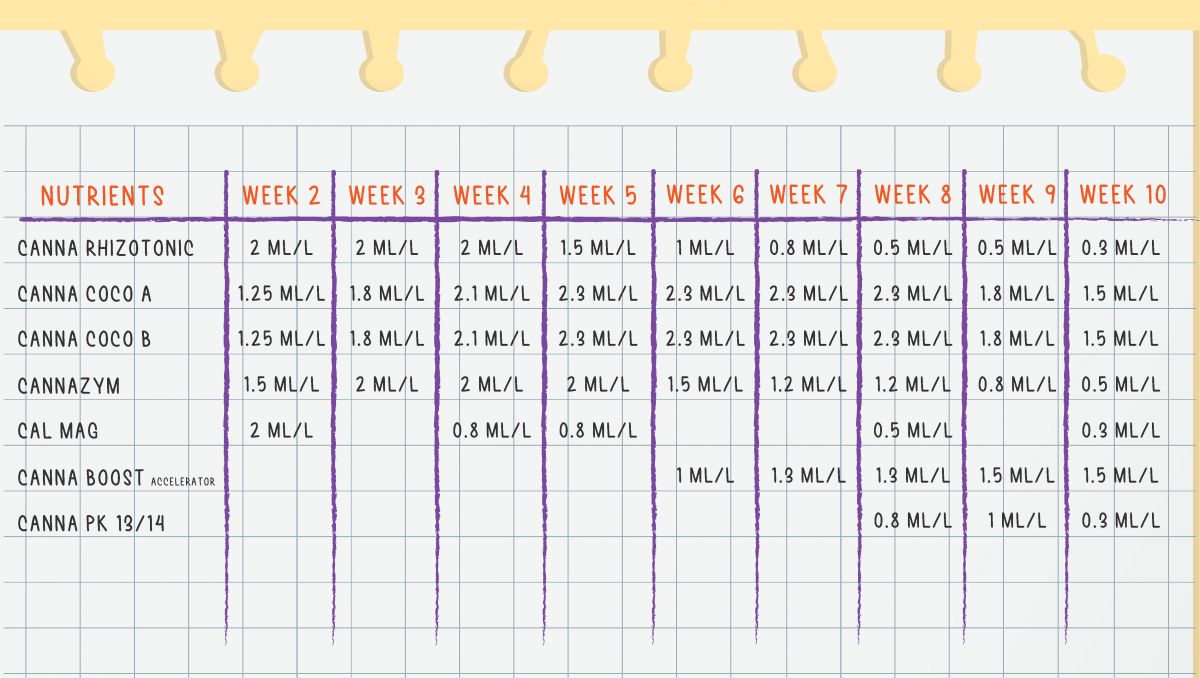Orange Sherbet Auto Cannabis Strain Week-by-Week Guide: CANNA nutrients feeding schedule 