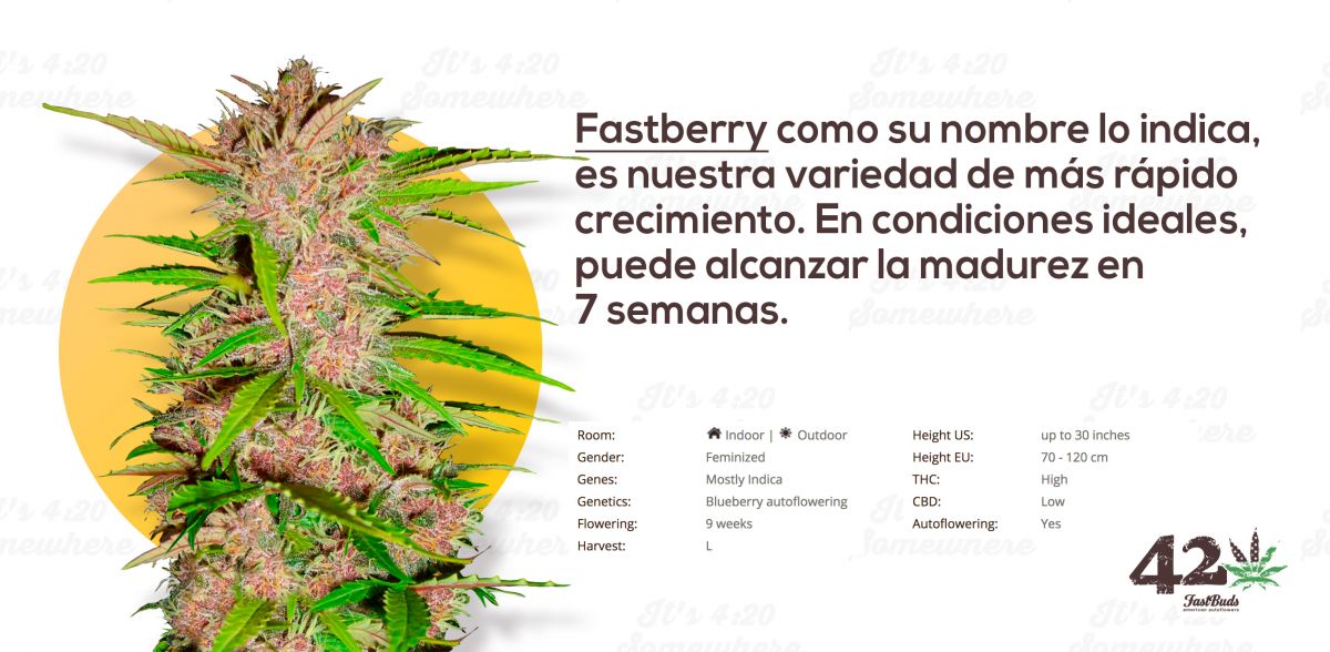 Fast Buds Fastberry