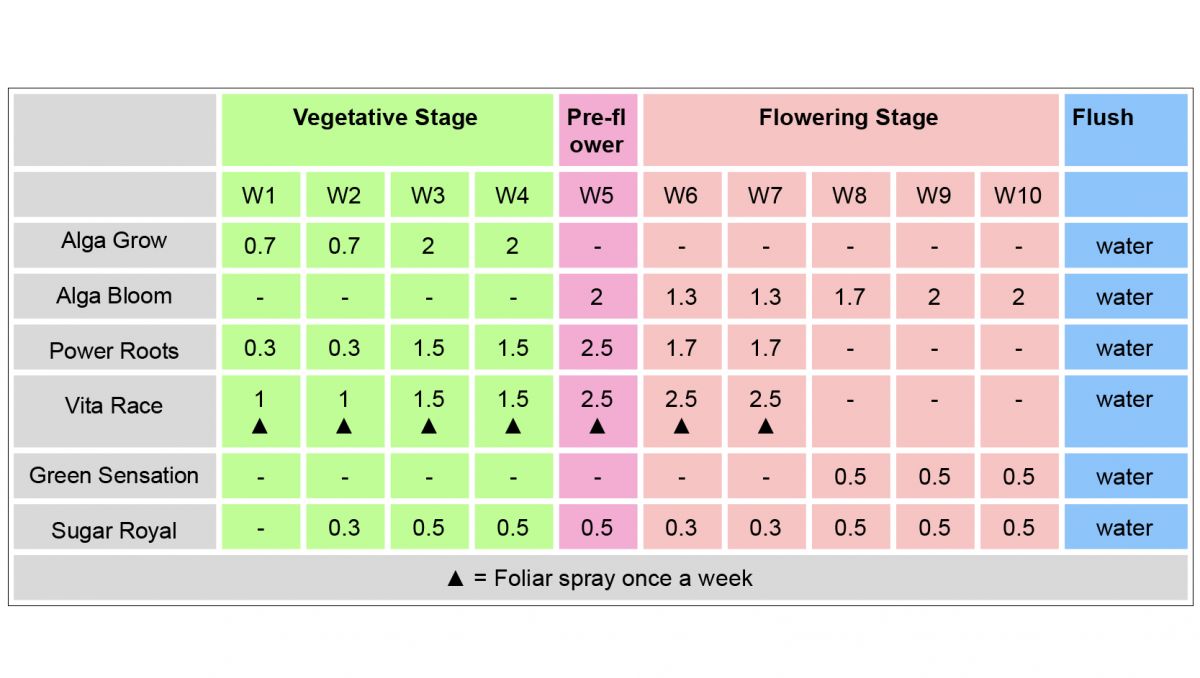 Plagron usage guide: organic fertilizers for autoflowers Plagron usage guide: organic fertilizers for autoflowers