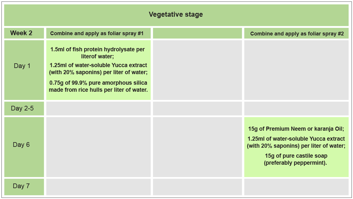 No-till cannabis guide: week 2