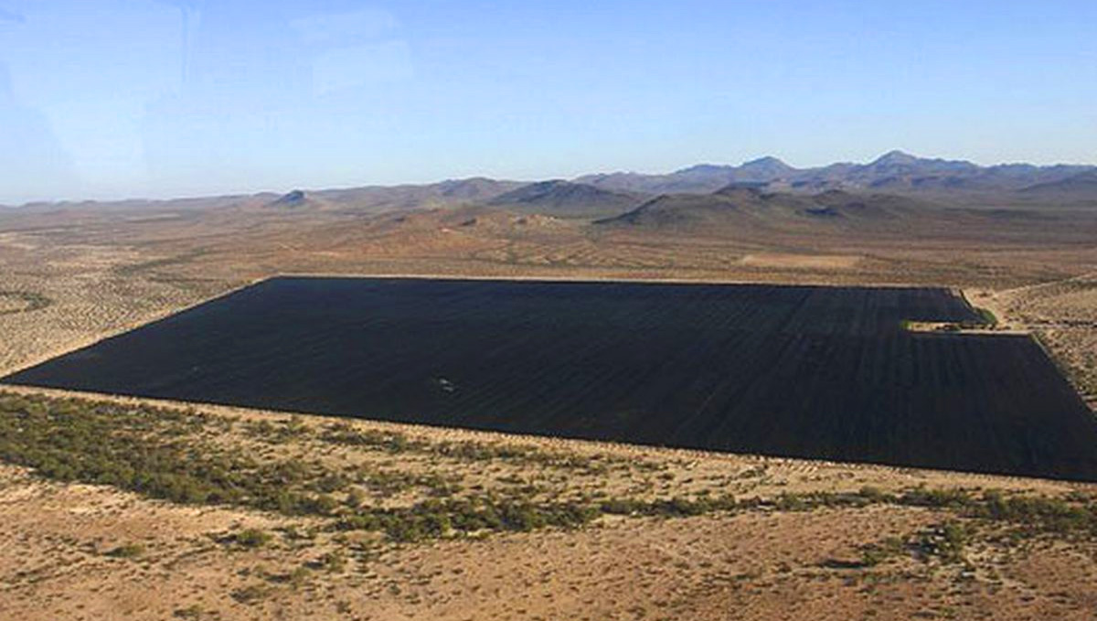 The world's largest marijuana plantation in a remote desert area near Baja California, Mexico.