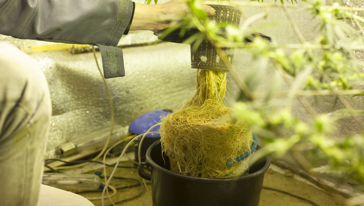 Shogun usage guide: hydro