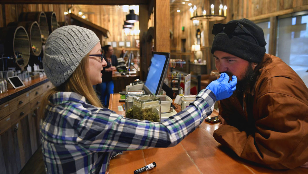 The best online cannabis courses: budtending certification program The best online cannabis courses: budtending certification program