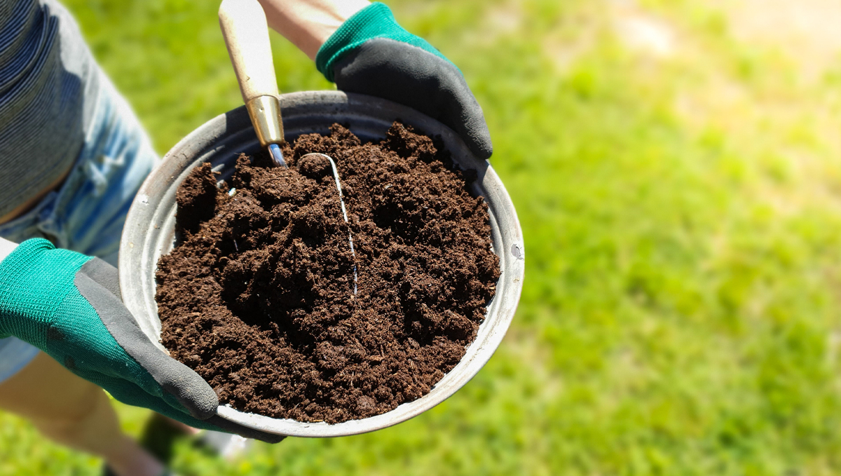 Shogun usage guide: soil