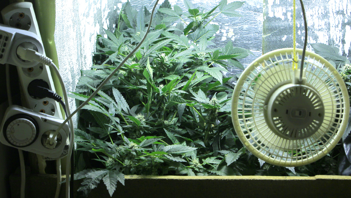 Light burn: air circulation