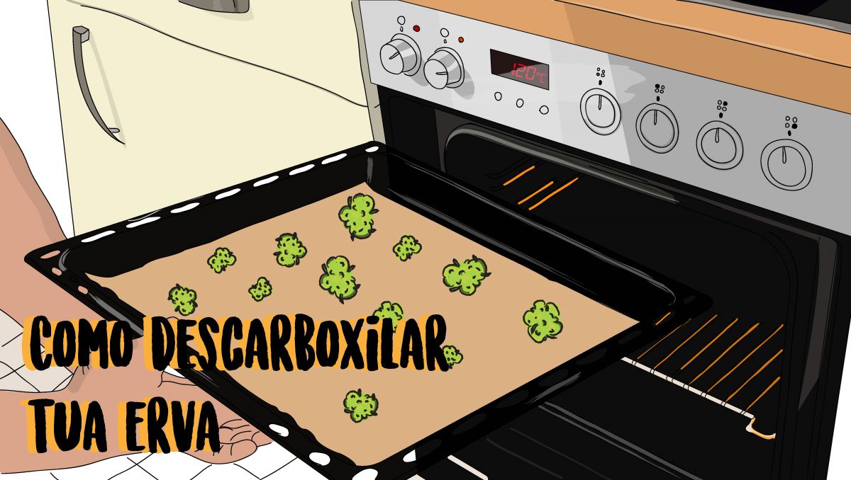 Descarboxile sua erva para activar os canabinóides para a sua loção de cannabis