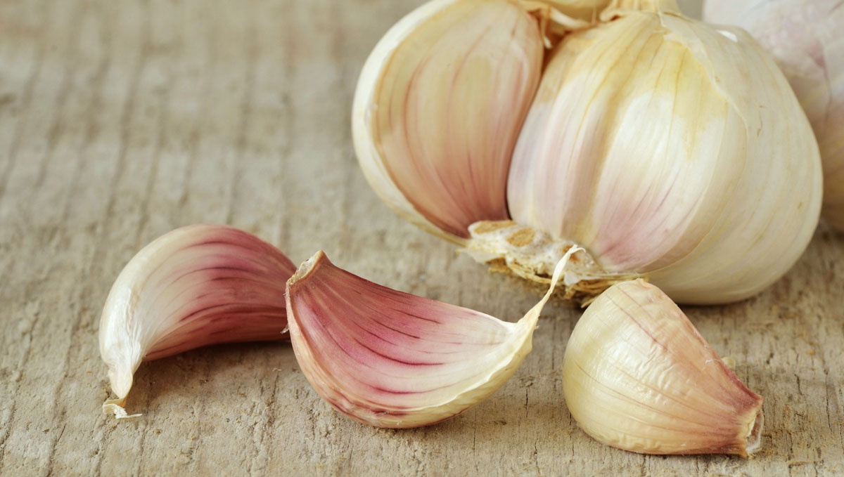 Garlic isn't only loyal in the kitchen but as a grasshopper pesticide as well. Garlic isn't only loyal in the kitchen but as a grasshopper pesticide as well.