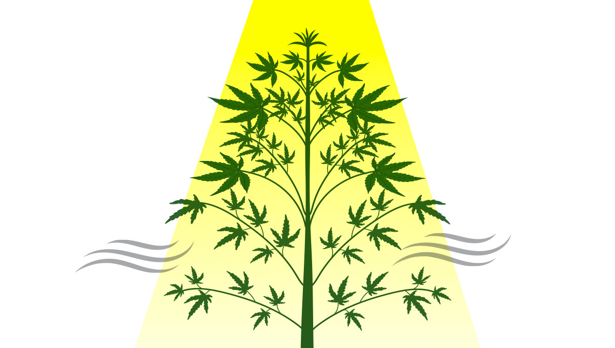 Defoliation objective