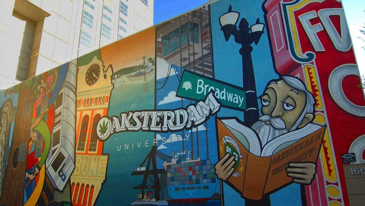 The best online cannabis courses: oaksterdam university The best online cannabis courses: oaksterdam university