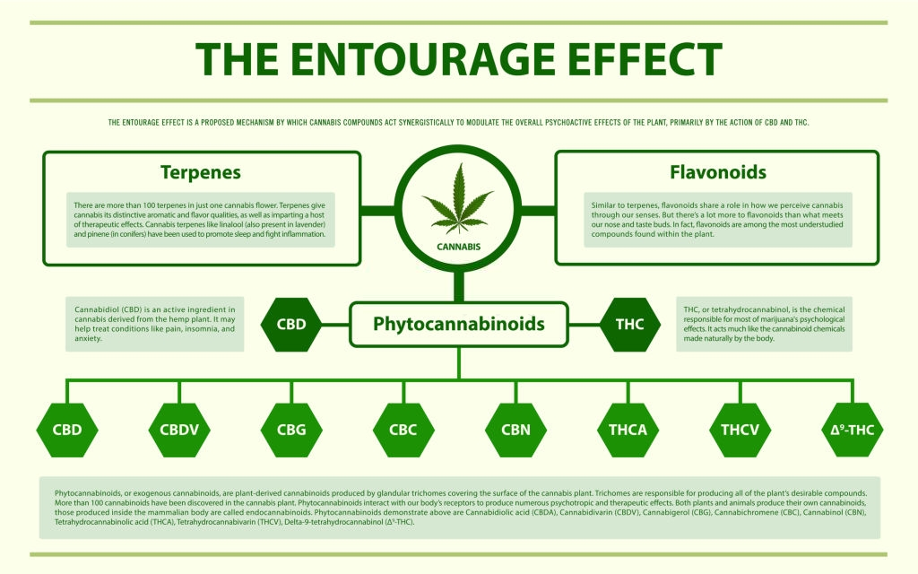 What is the Entourage Effect?: infographic What is the Entourage Effect?: infographic