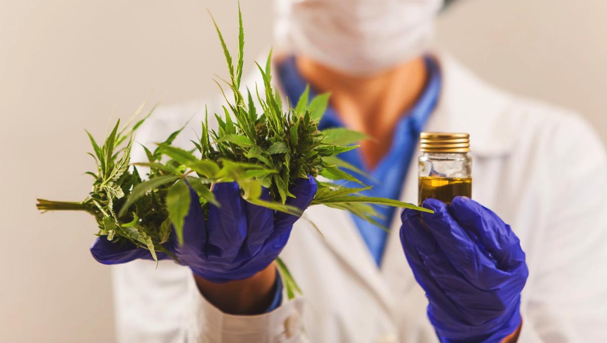 Research has proved cannabis effectivity to treat different forms of epilepsy. Research has proved cannabis effectivity to treat different forms of epilepsy.