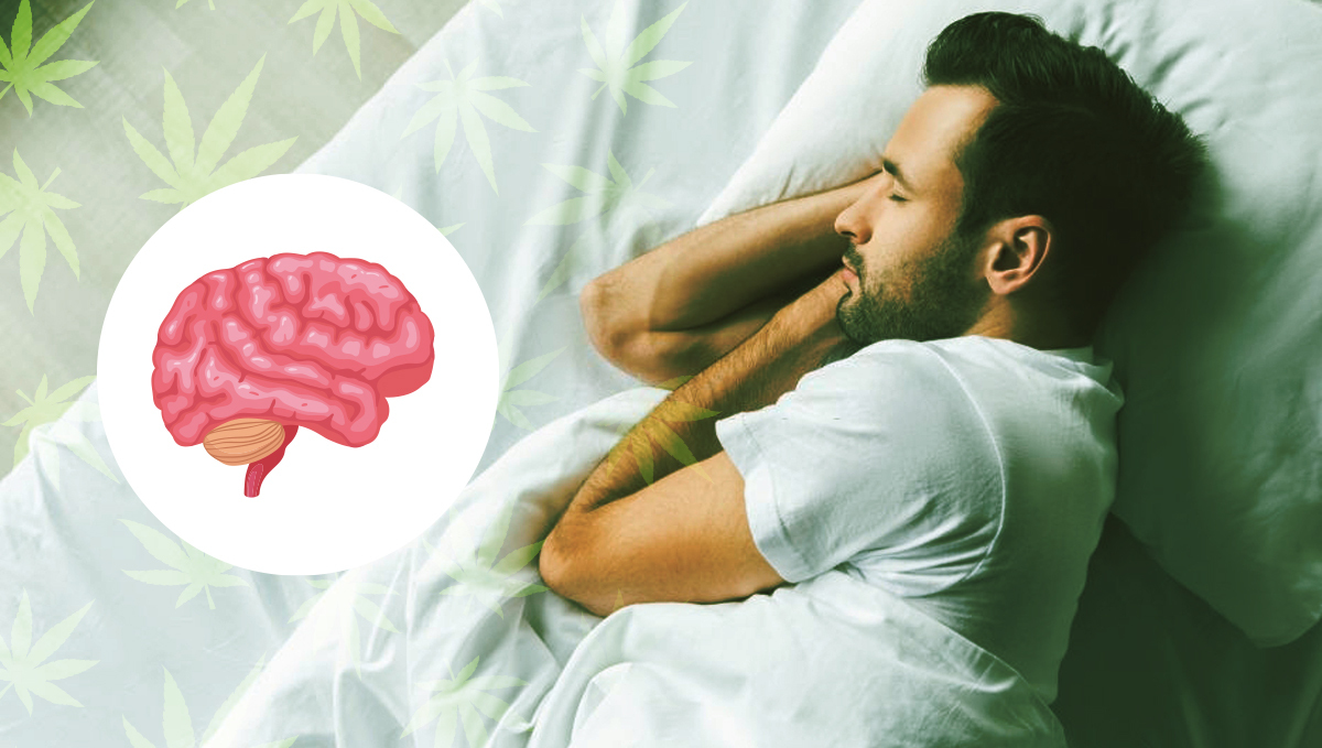 Cannabis edibles can help improve poor sleeping schedule Cannabis edibles can help improve poor sleeping schedule