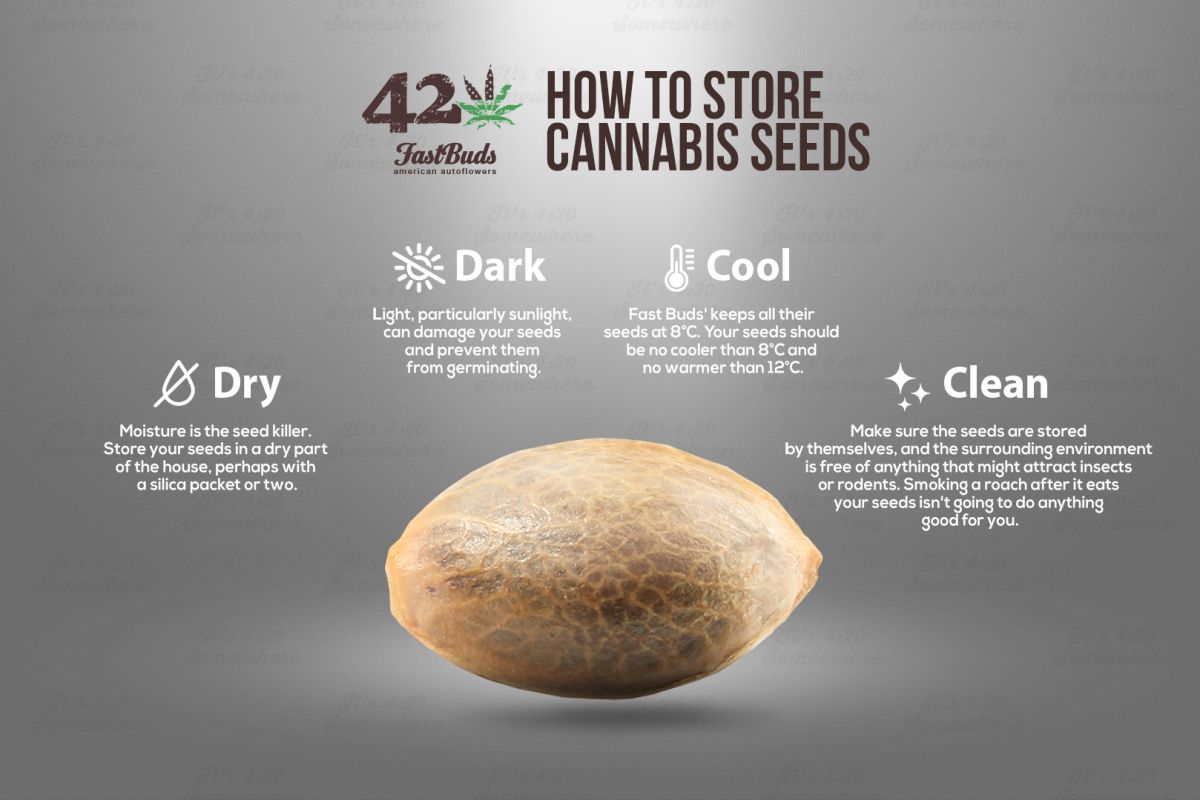 cannabis-seed-storage-infographic.jpg Cannabis Seed Storage Infographic