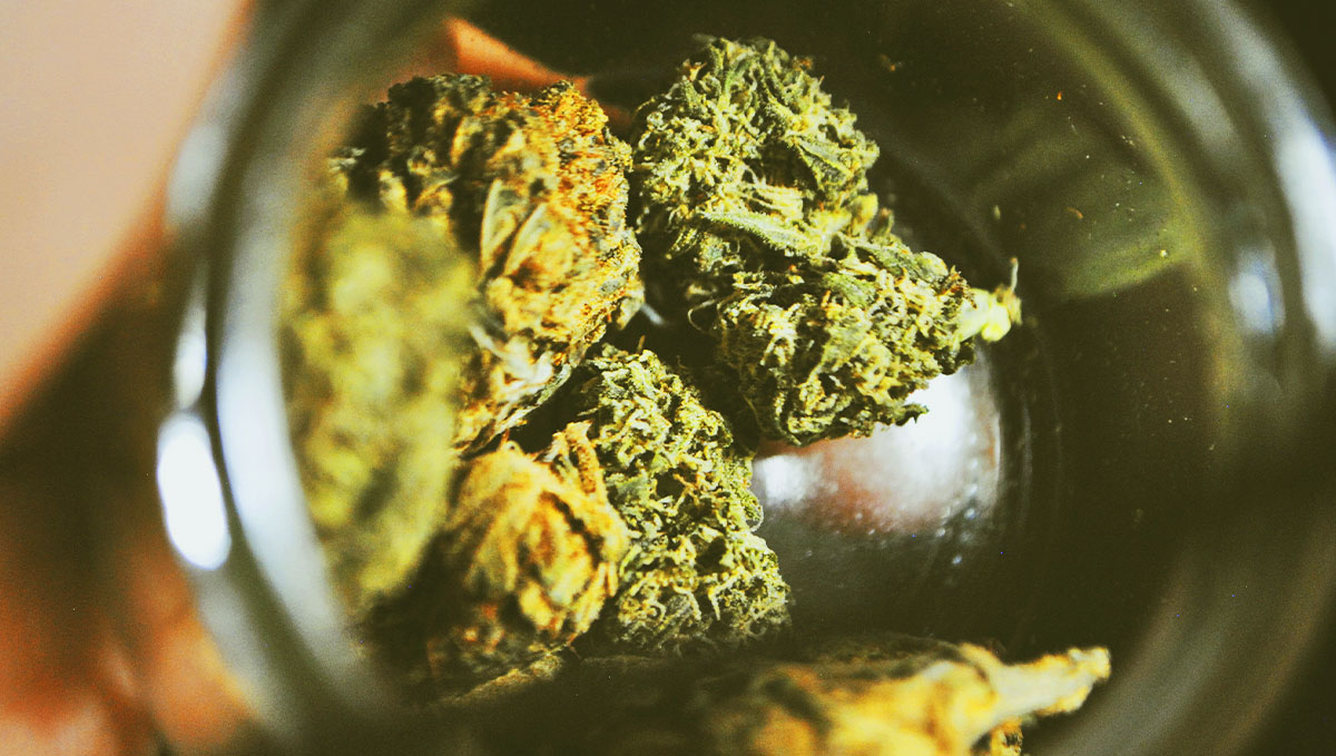 What ultimately makes the difference is the curing of your cannabis buds.