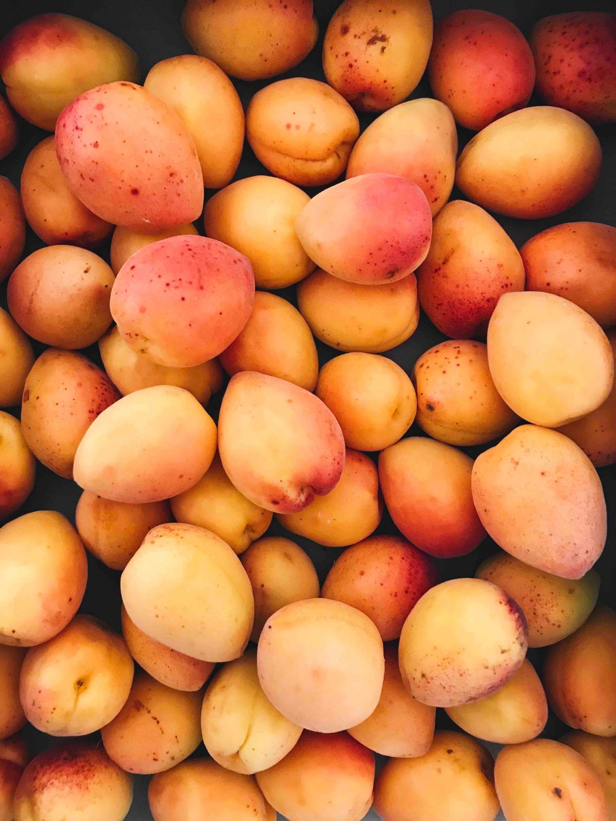 mango by Brigitte Tohm/Unsplash