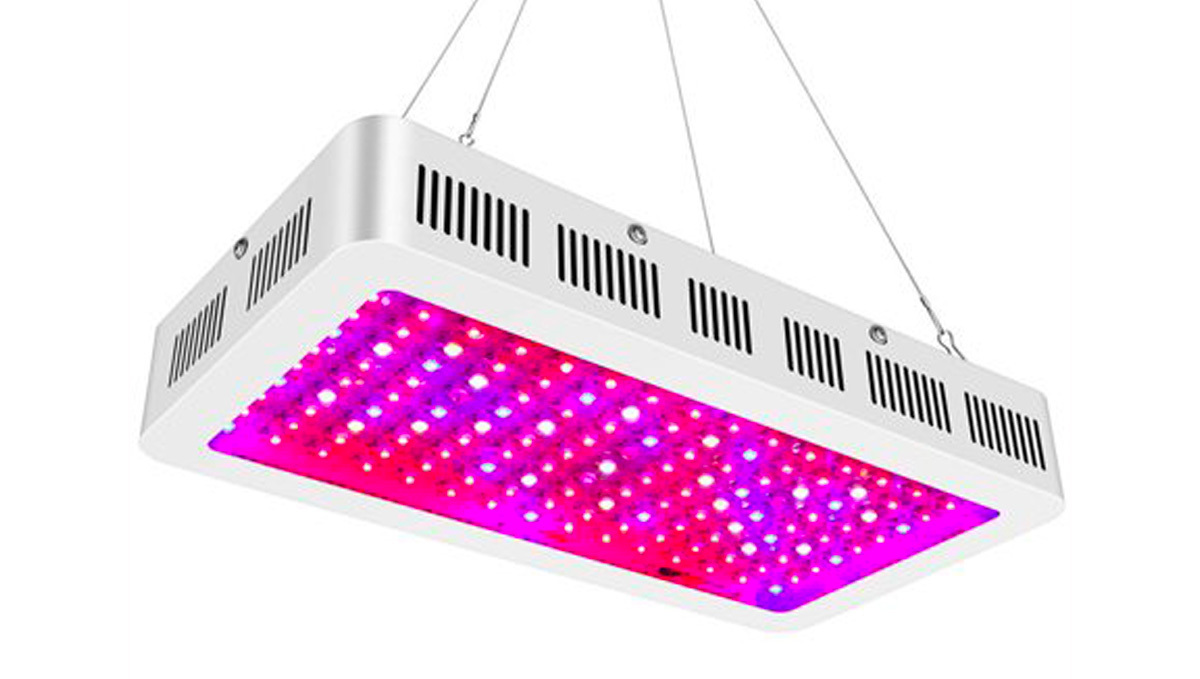Best light spectrum for autos: blurples 