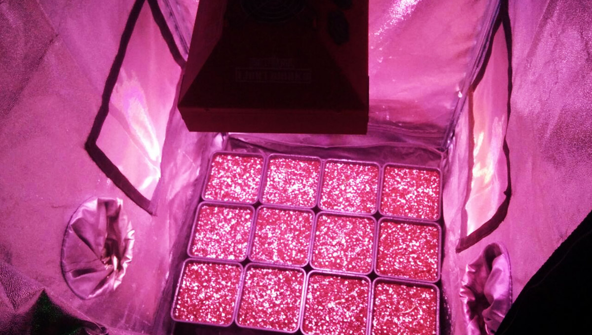 Ports and windows are extremely useful for tents!