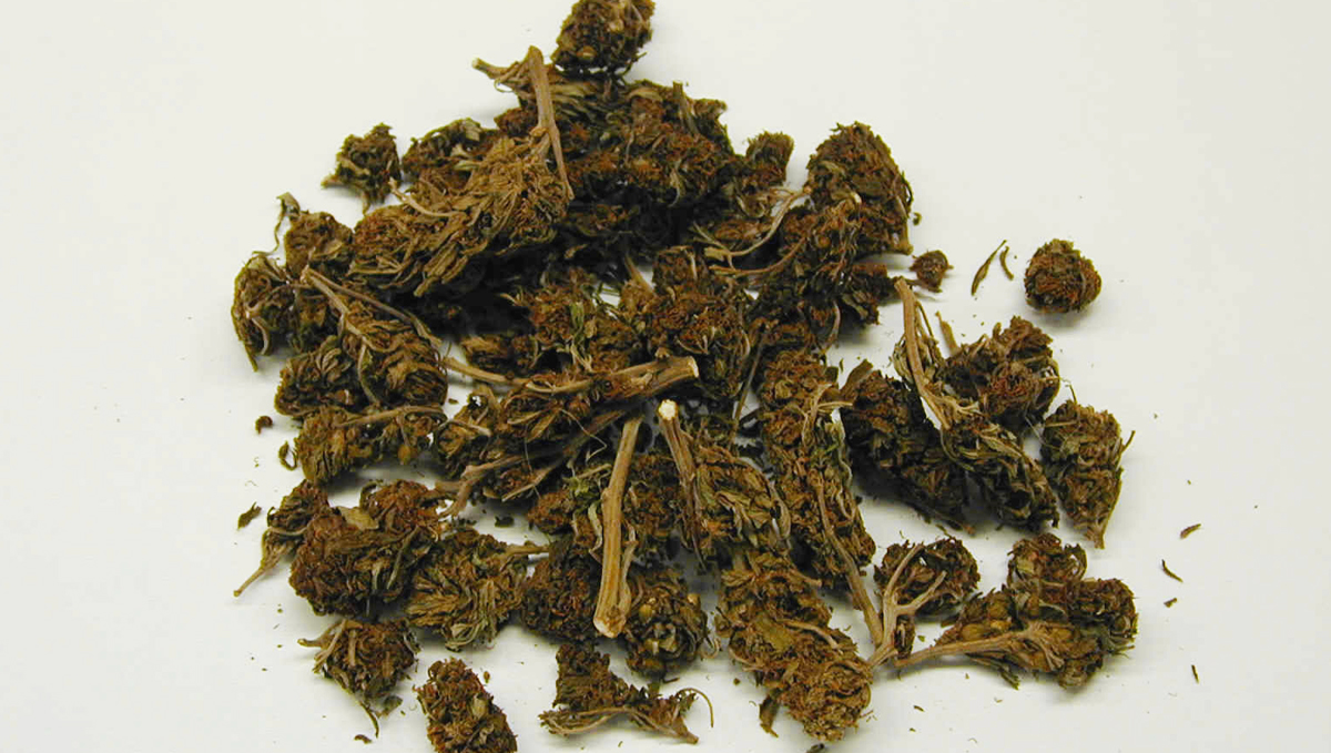 This is what low-quality weed looks like.