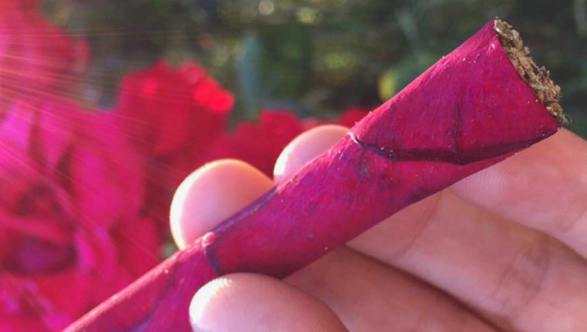 Roll a romantic rose petal blunt this Valentine's!