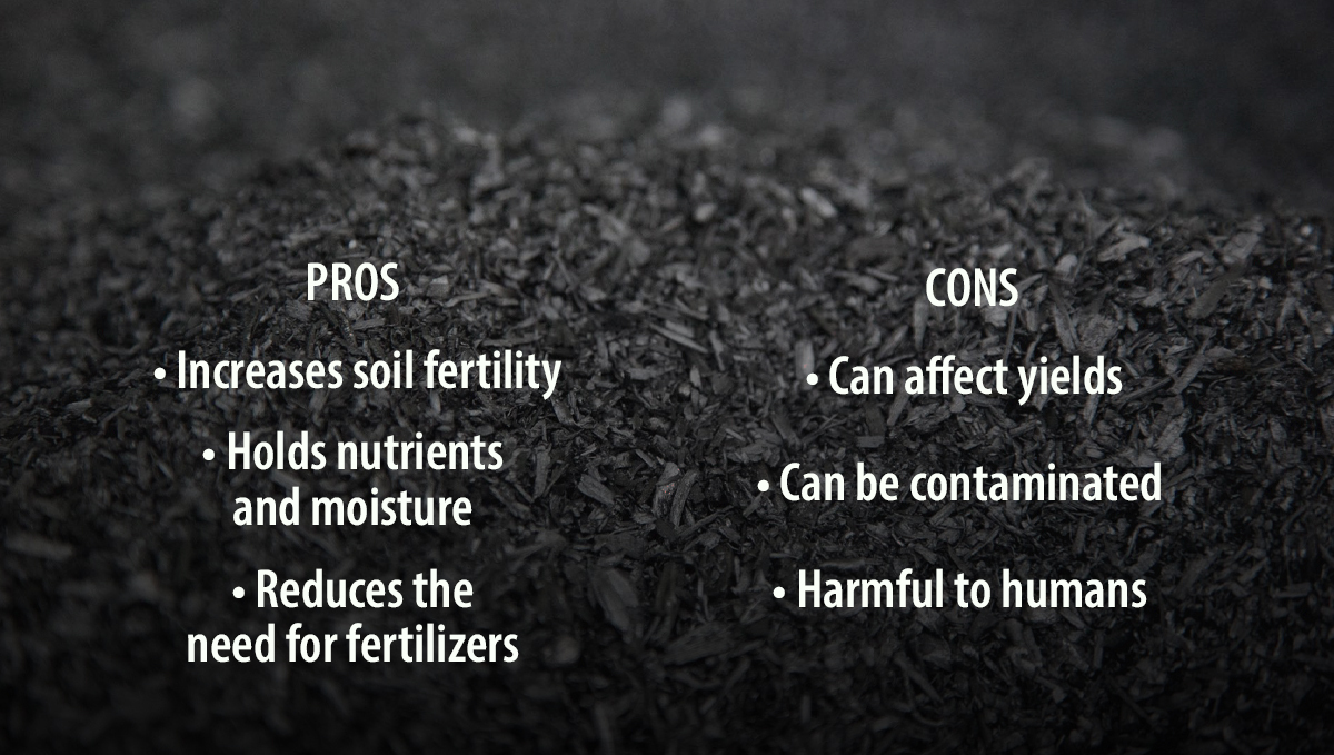 Pros and Cons of Adding Biochar to your Soil
