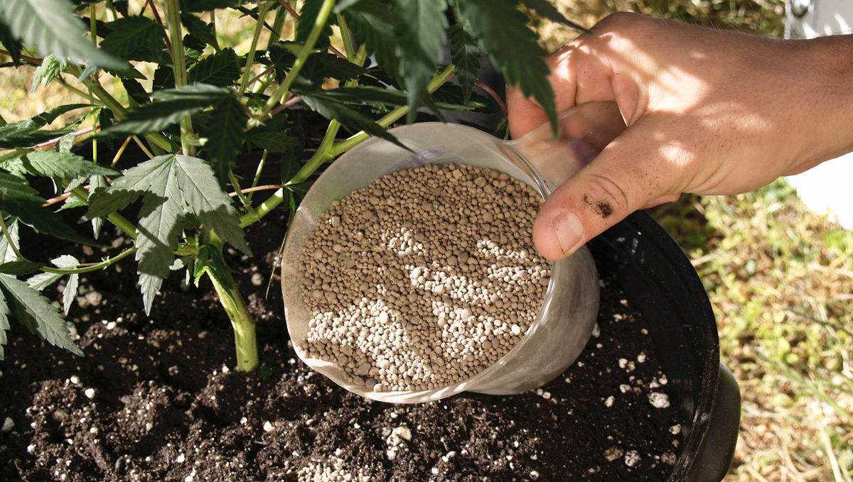 Adding powdered supplements