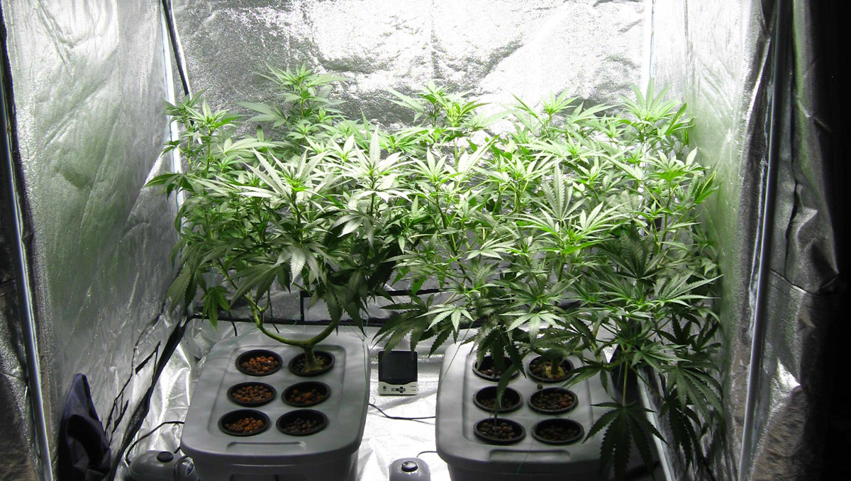 Light burn: reflective walls