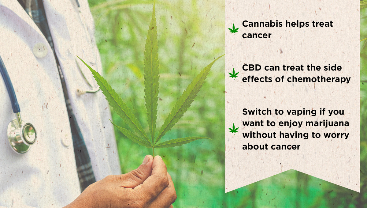 Cannabis Vs Alcohol – What's Safer for You?: Cann Med