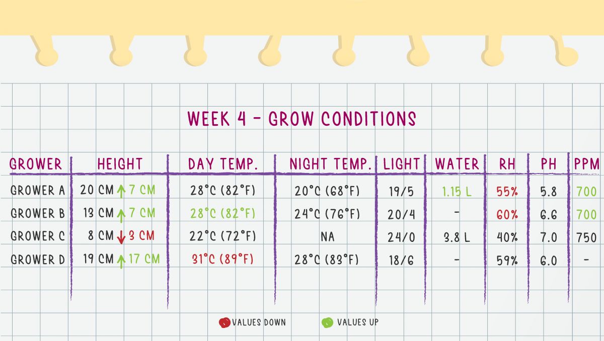 Grow Conditions Week 4