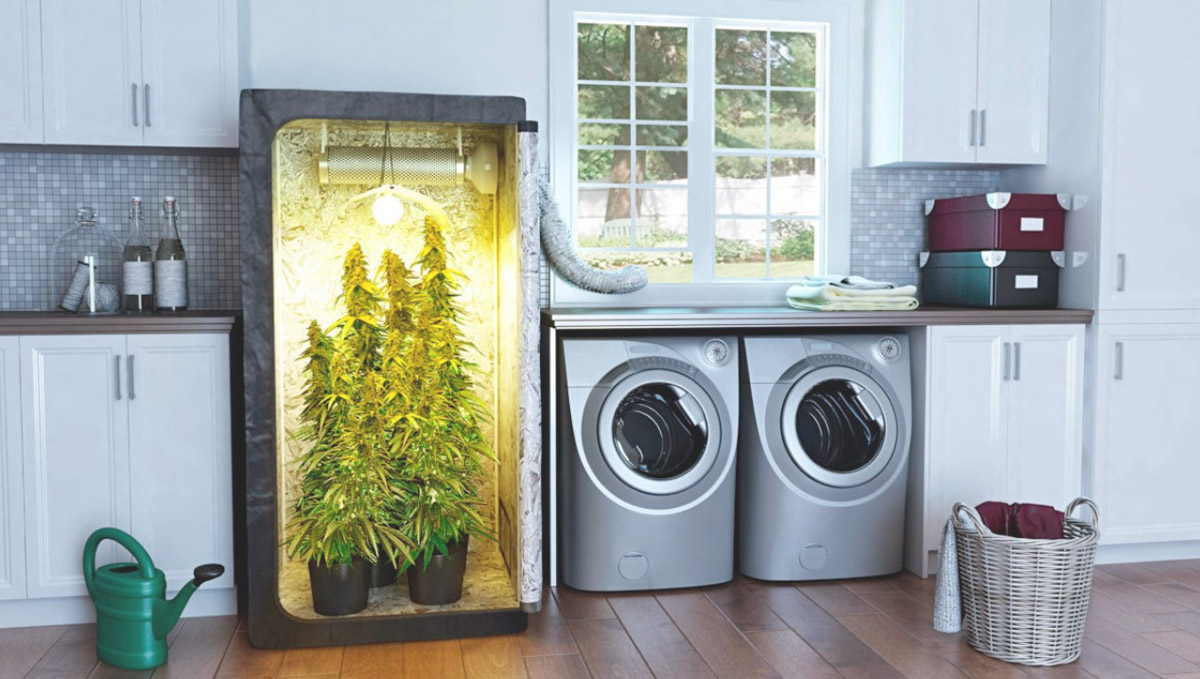 You can have a personalized tent size to fit anywhere!