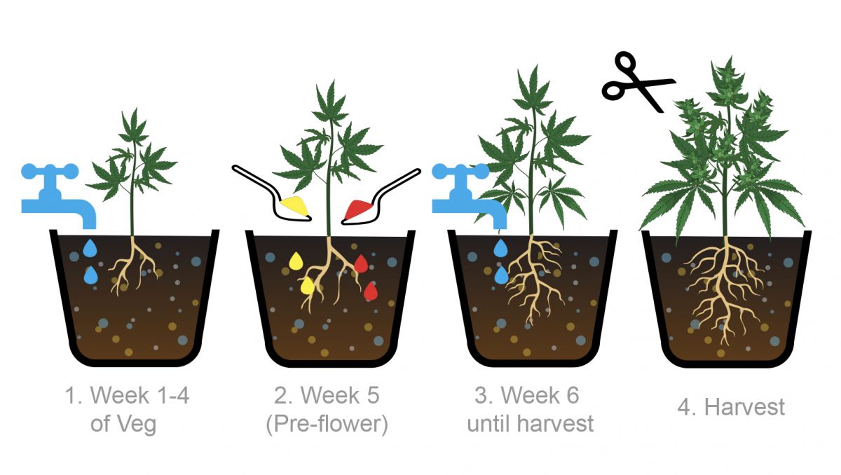 Bio tabs usage guide: schedule for photos