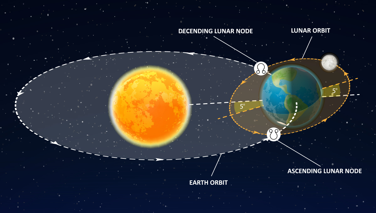 Lunar calendar: moon cycles