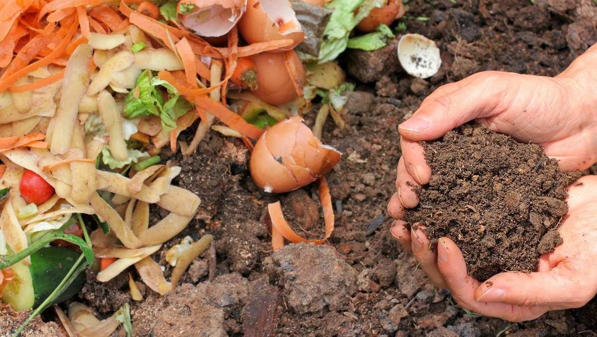 Composting: what to compost Composting: what to compost