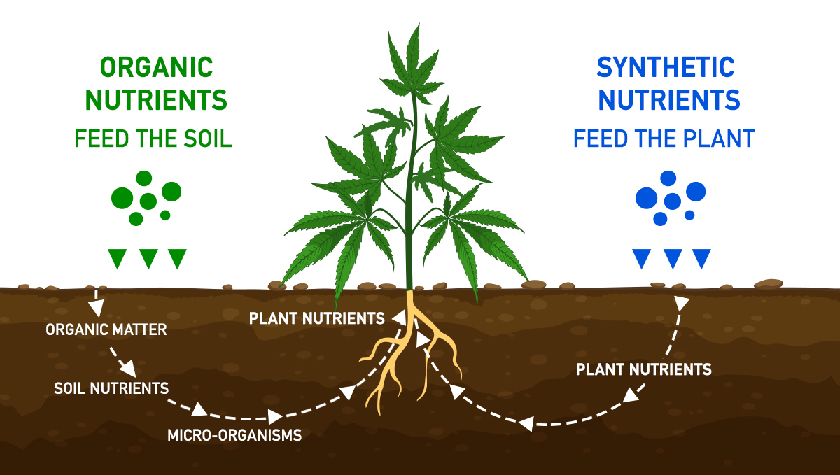 The importance of water purity: nutrient distribution