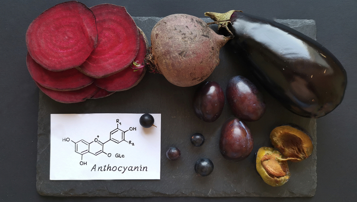 Why do cannabis turns purple?: where it can be found