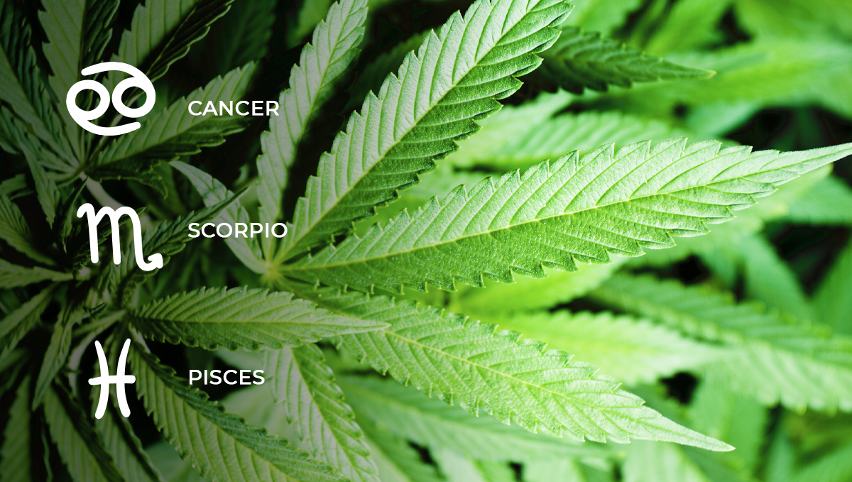 Lunar calendar: leaf days