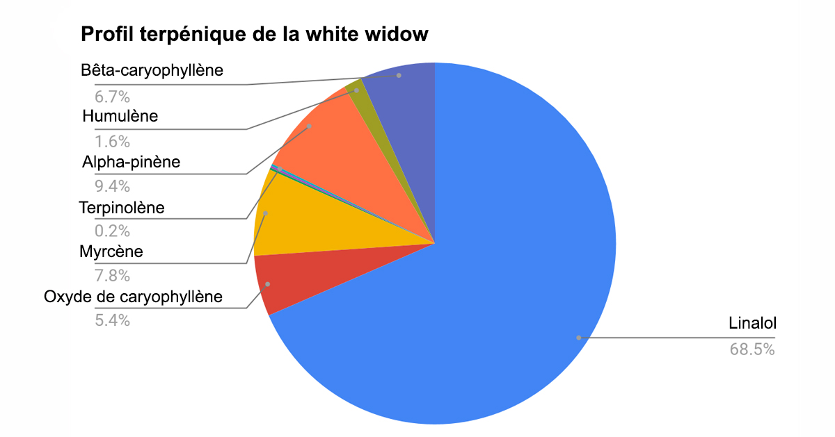 WW_terpene_profile_fr.jpg