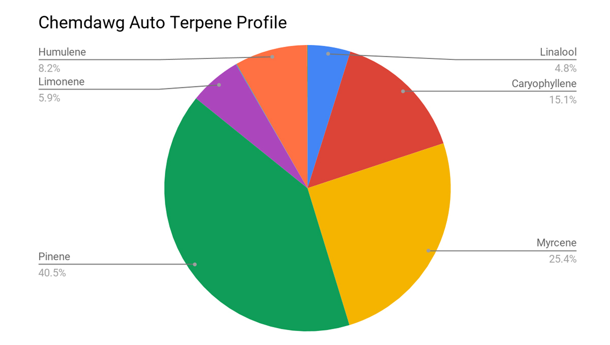 Chemdawg auto guide: terpene profile Chemdawg auto guide: terpene profile