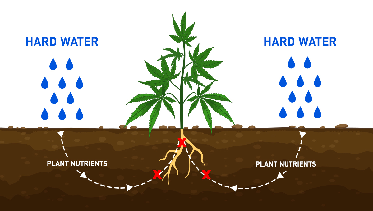 The importance of water purity: hard water