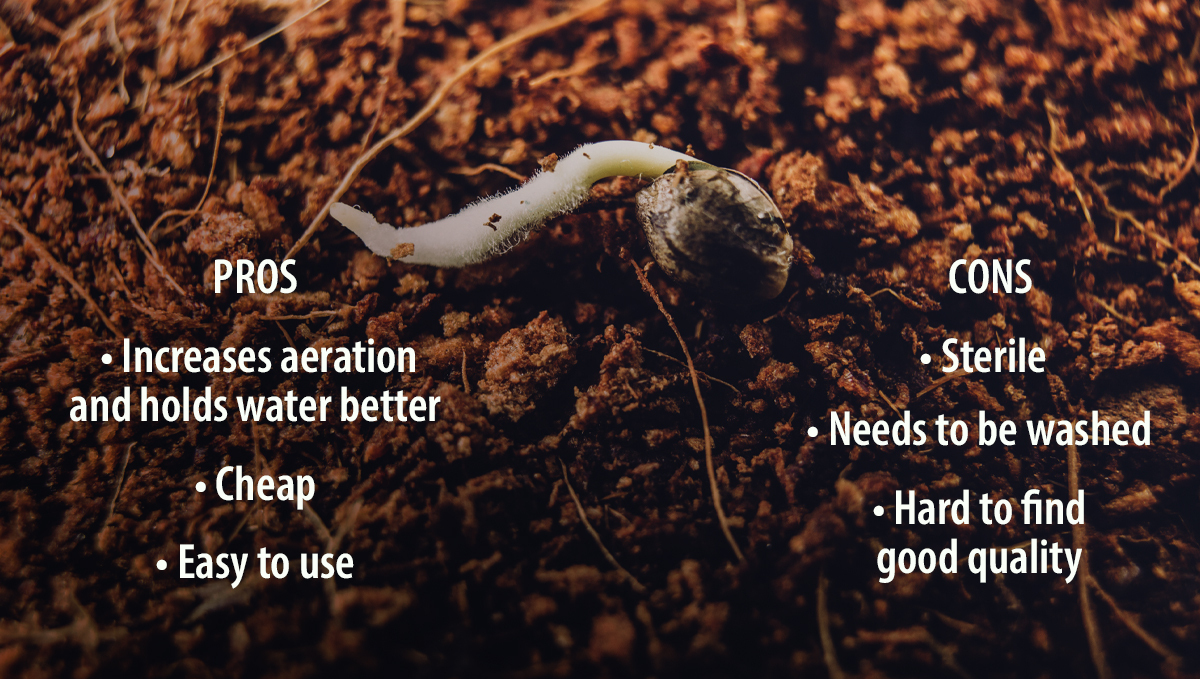 Pros and Cons of Adding Coco to your Soil