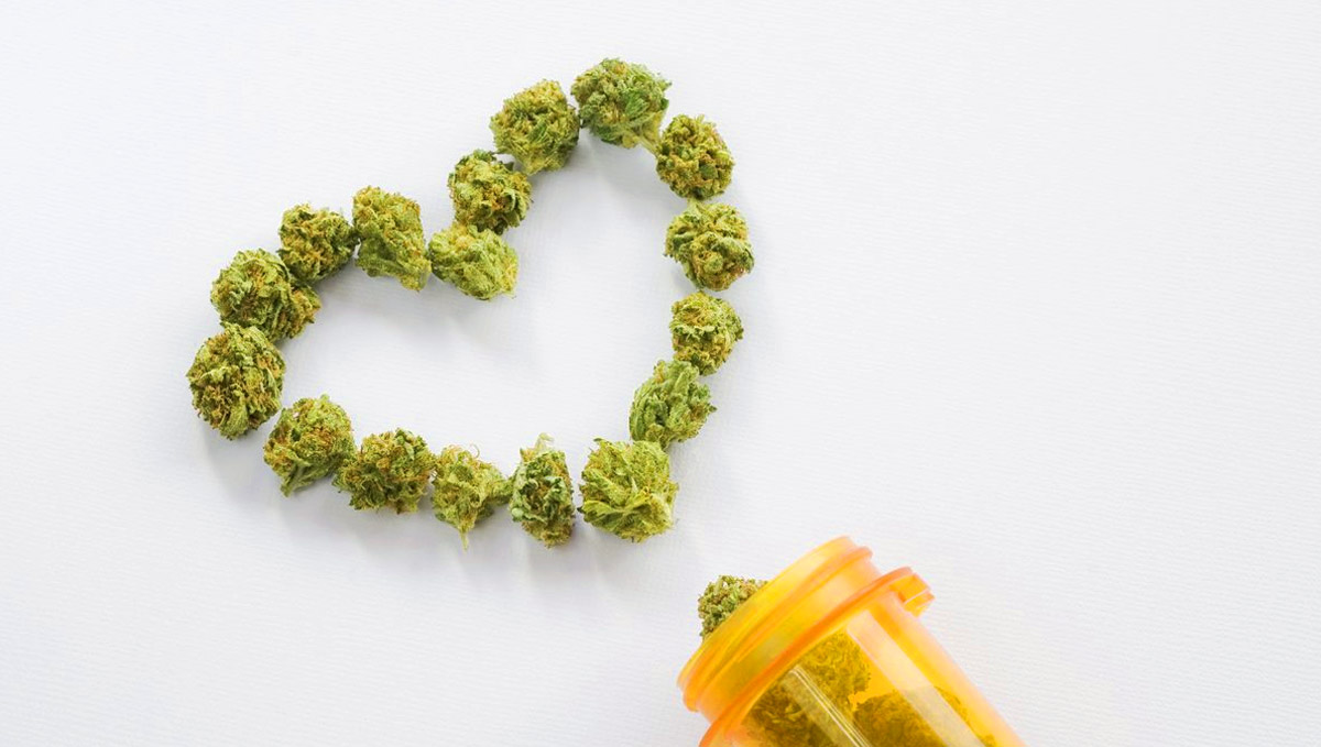 Terpinolene could help in the prevention of heart disease. Terpinolene could help in the prevention of heart disease.