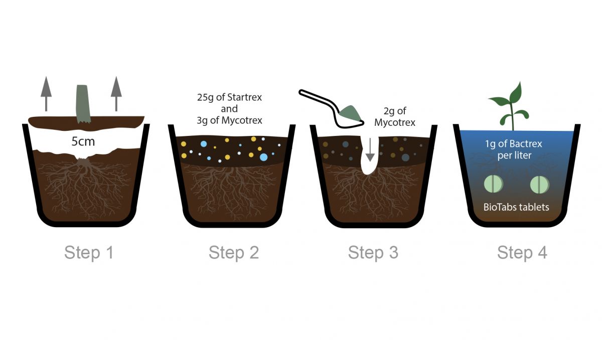 Bio tabs usage guide: recycling