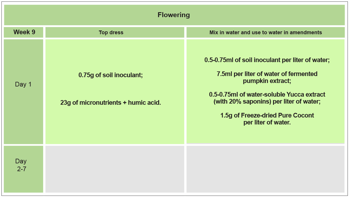 No-till cannabis guide: week 9
