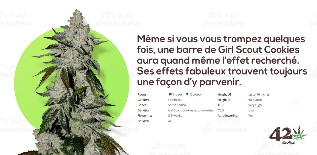 Fast Buds' Autoflower Girl Scout Cookies