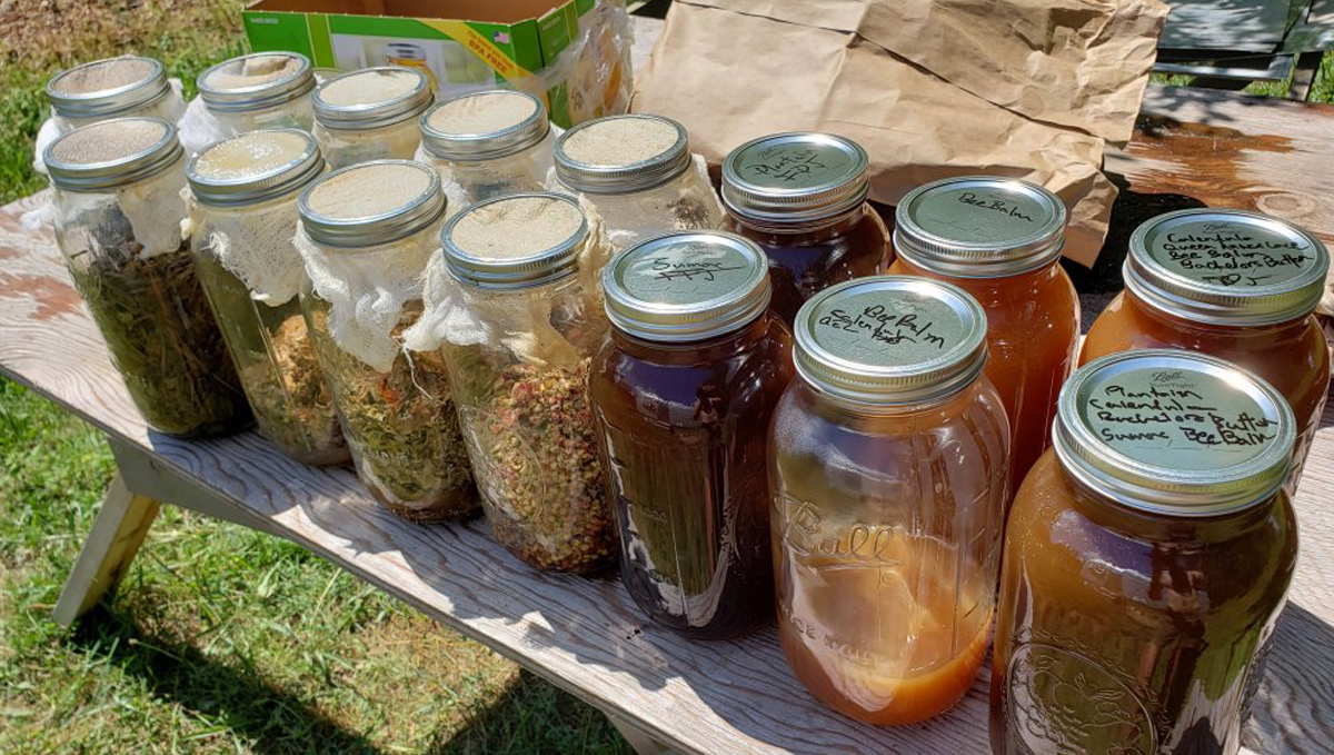 Korean natural farming: fermented juices Korean natural farming: fermented juices