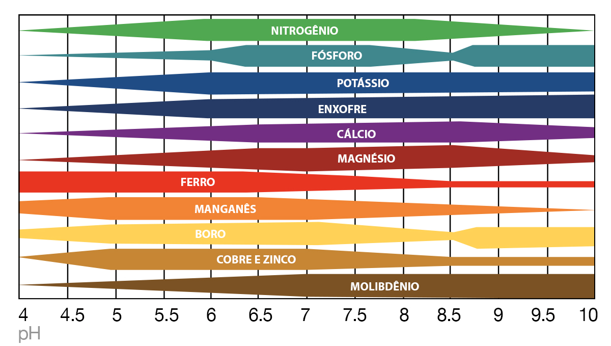 Como Lidar Com O Lento Crescimento: pH e absorção de nutrientes