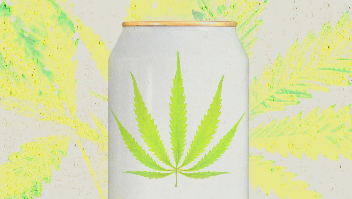 Brewing Cannabis With Hacked Beer Yeast: The cannabis drinks industry is on the rise.