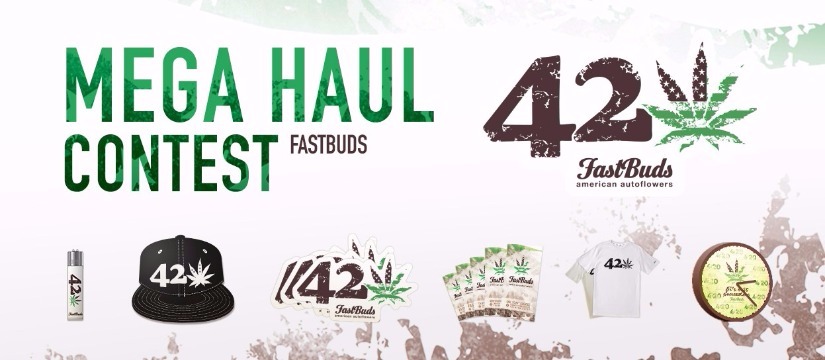 Fast Buds Haul Contest