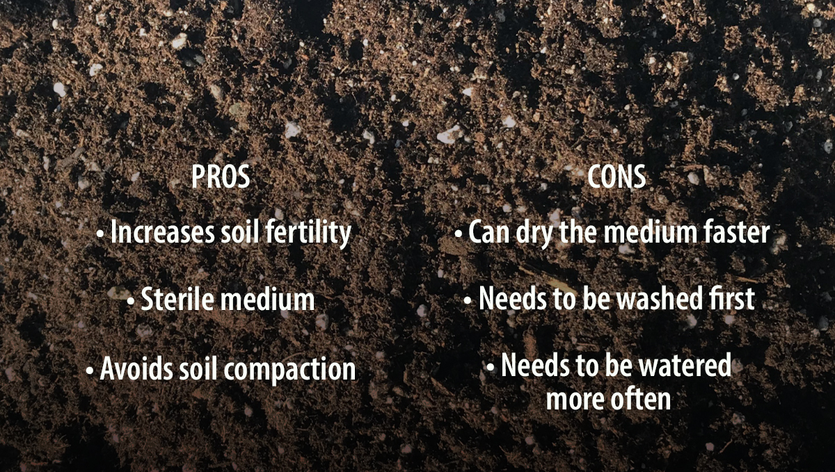 Pros and Cons of Adding Perlite to your Soil