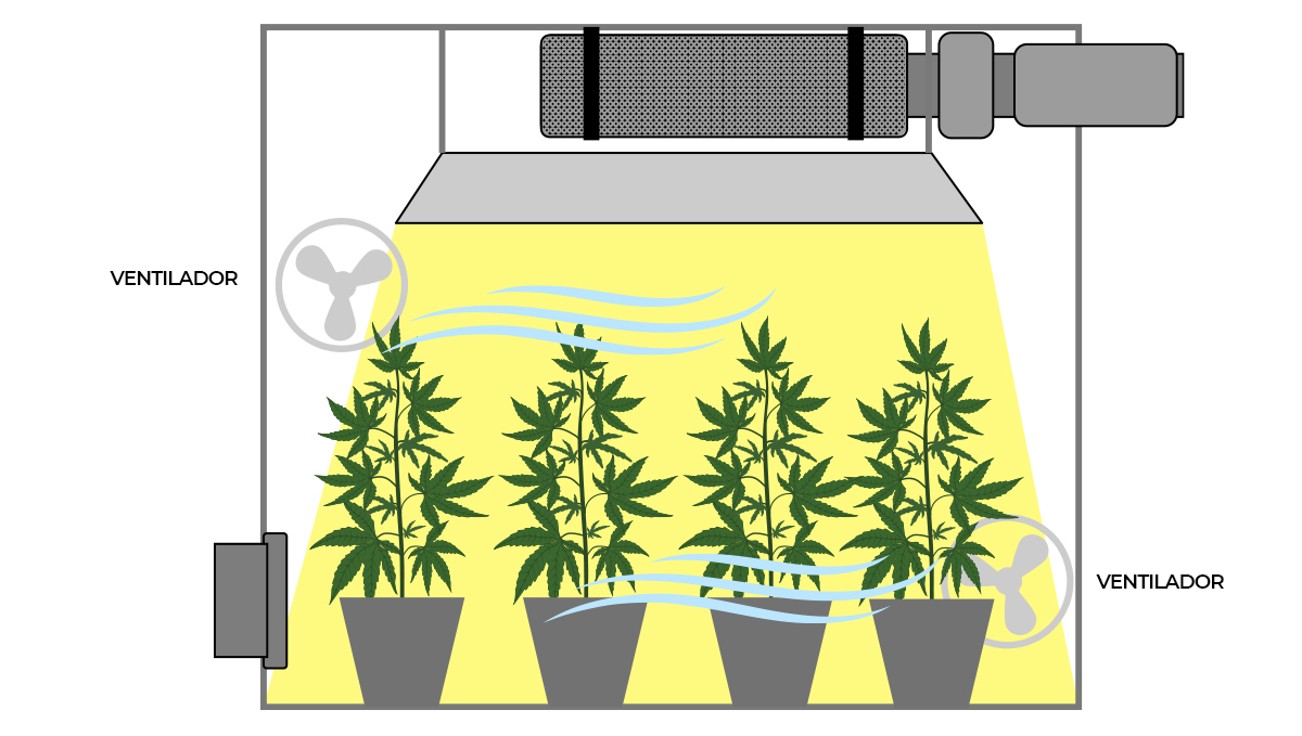 La importancia de la circulación del aire: coloque ventiladores